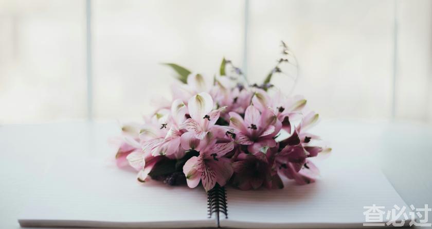 查必过,查必过官网,免费论文查重,免费论文检测,免费论文修改