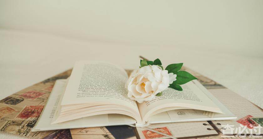 查必过,查必过官网,免费论文查重,免费论文检测,免费论文修改