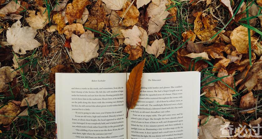 查必过,查必过官网,免费论文查重,免费论文检测,免费论文修改