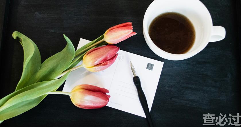 查必过,查必过官网,免费论文查重,免费论文检测,免费论文修改