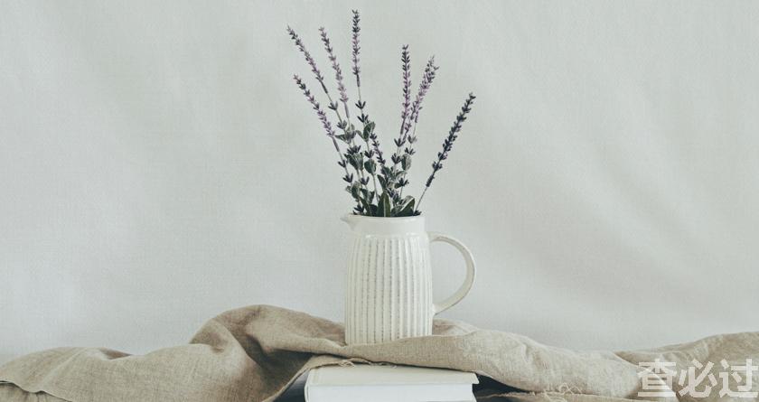 查必过,查必过官网,免费论文查重,免费论文检测,免费论文修改