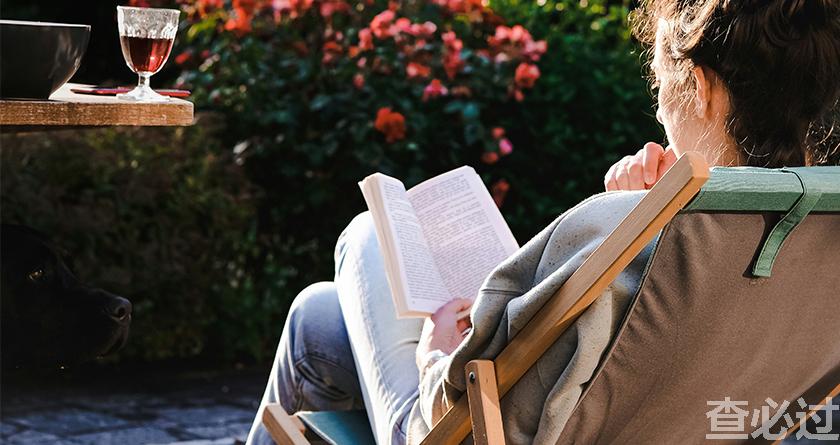 查必过,查必过官网,免费论文查重,免费论文检测,免费论文修改